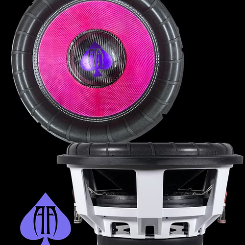 Audio Ace Wild 12. 2000W RMS Dyeable Cone
