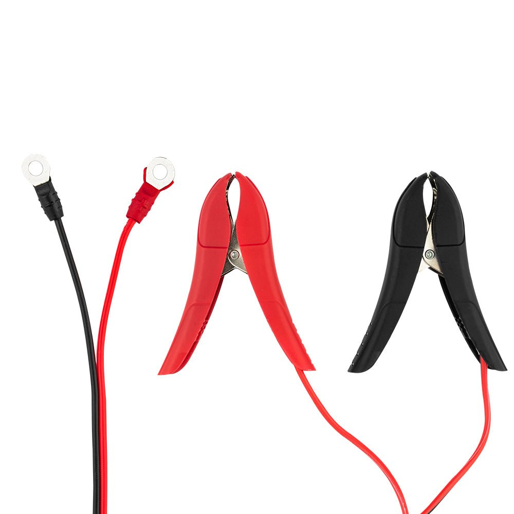 6 AMP Automatic Smart Lithium and AGM Car Battery Charger & Maintainer.