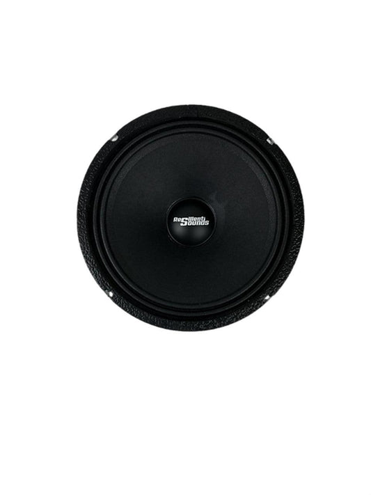 Resilient Sounds RS 10M 10" Midrange Speaker – 300W RMS 4 Ohm (Single) - Audio Sellerz
