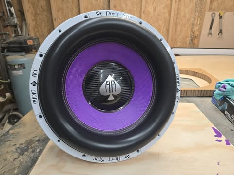 Audio Ace Dyeable Cone Subwoofers: Custom Color Bass That Matches Your Build.