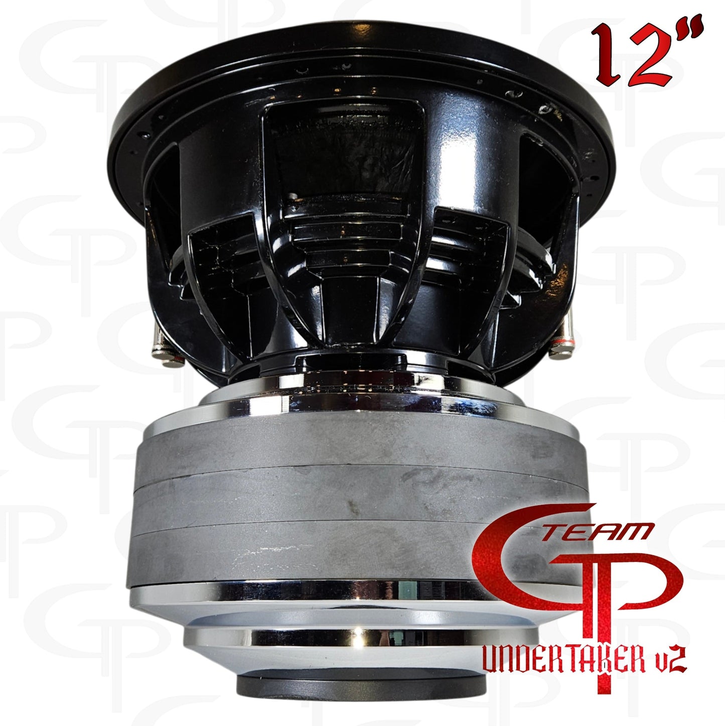Team GP Undertaker v2 12" Subwoofer UT12 5,000 RMS.