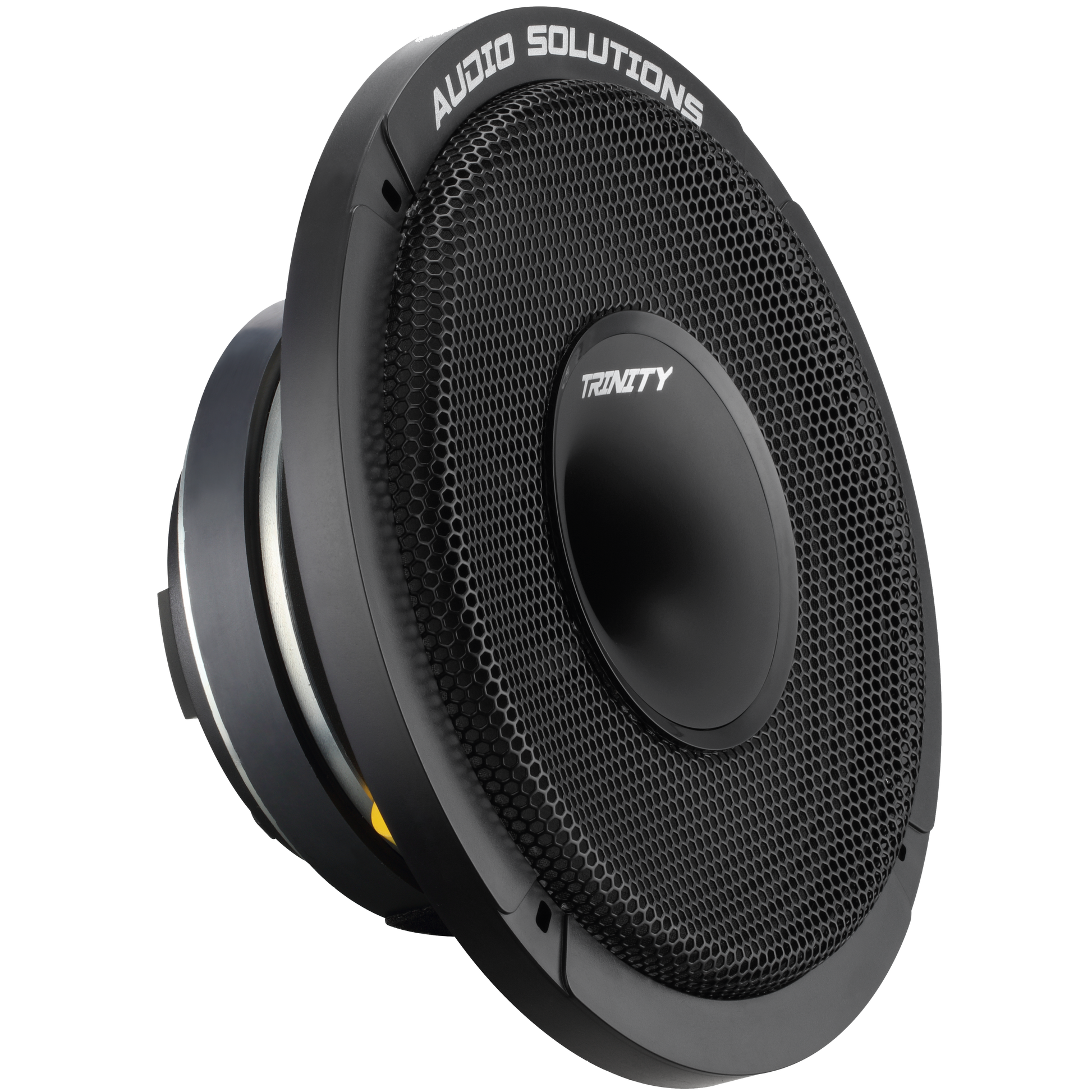 Trinity Audio CS84 Horn Driven 8" Pro Audio Coaxial Loudspeaker (single).