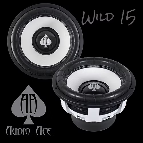 Audio Ace Wild 15" Subwoofer 