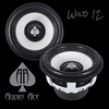 Audio Ace Wild 12. 2000W RMS Dyeable Cone
