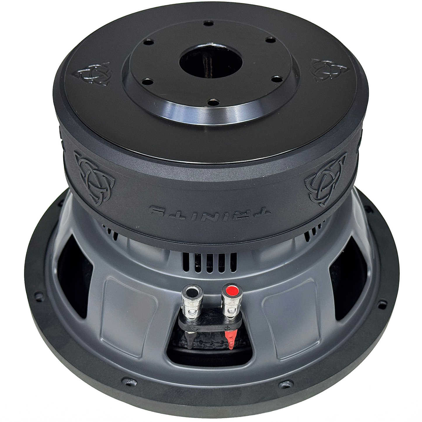 Trinity E Series 10" Subwoofer 800 Watts RMS