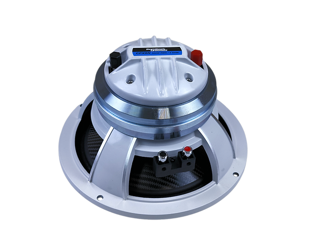 Resilient Sounds CPX8N NEO 8" Pro Audio Hybrid Loudspeaker with Horn 500W RMS