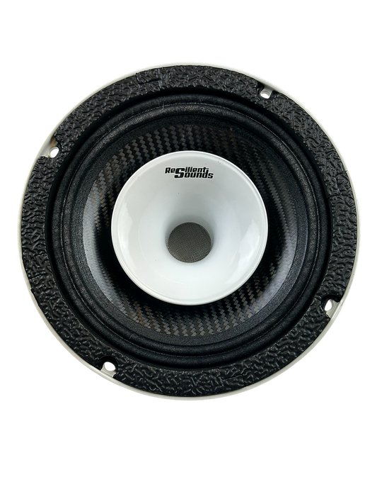 Resilient Sounds CPX6N NEO 6.5" Pro Audio Hybrid Loudspeaker with Horn – 400W RMS 4 Ohm (Single) - Audio Sellerz
