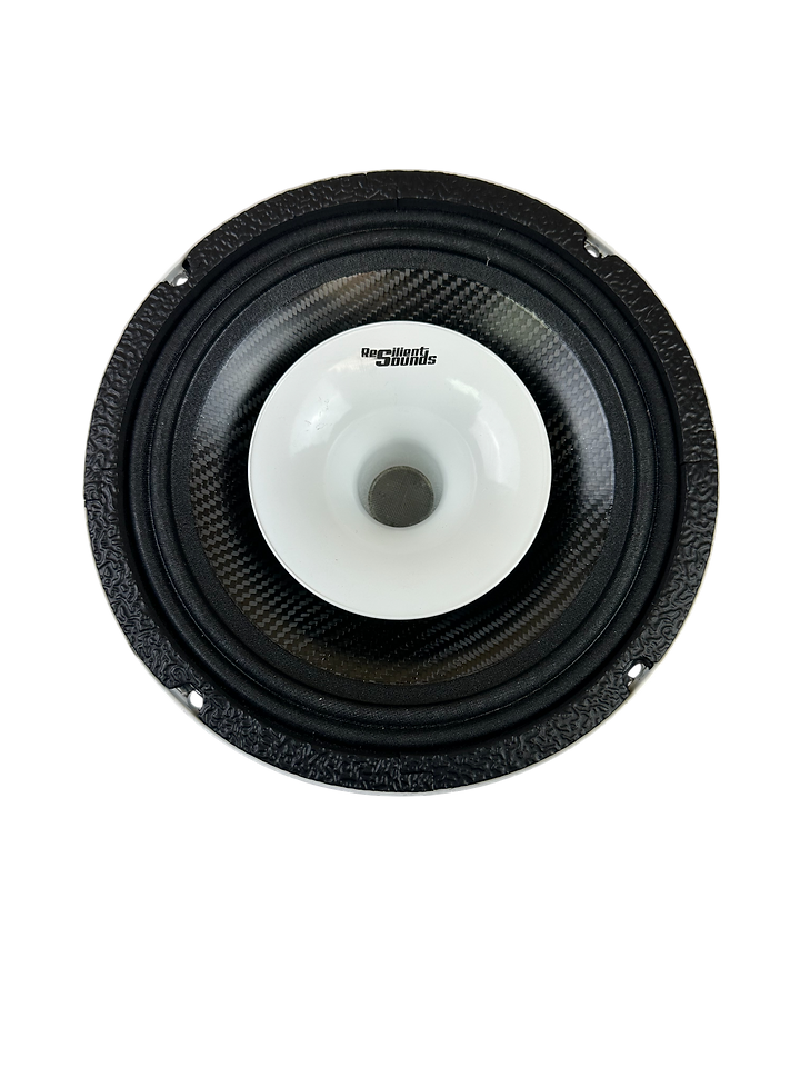 Resilient Sounds CPX6N NEO 6.5" Pro Audio Hybrid Loudspeaker with Horn 400W RMS