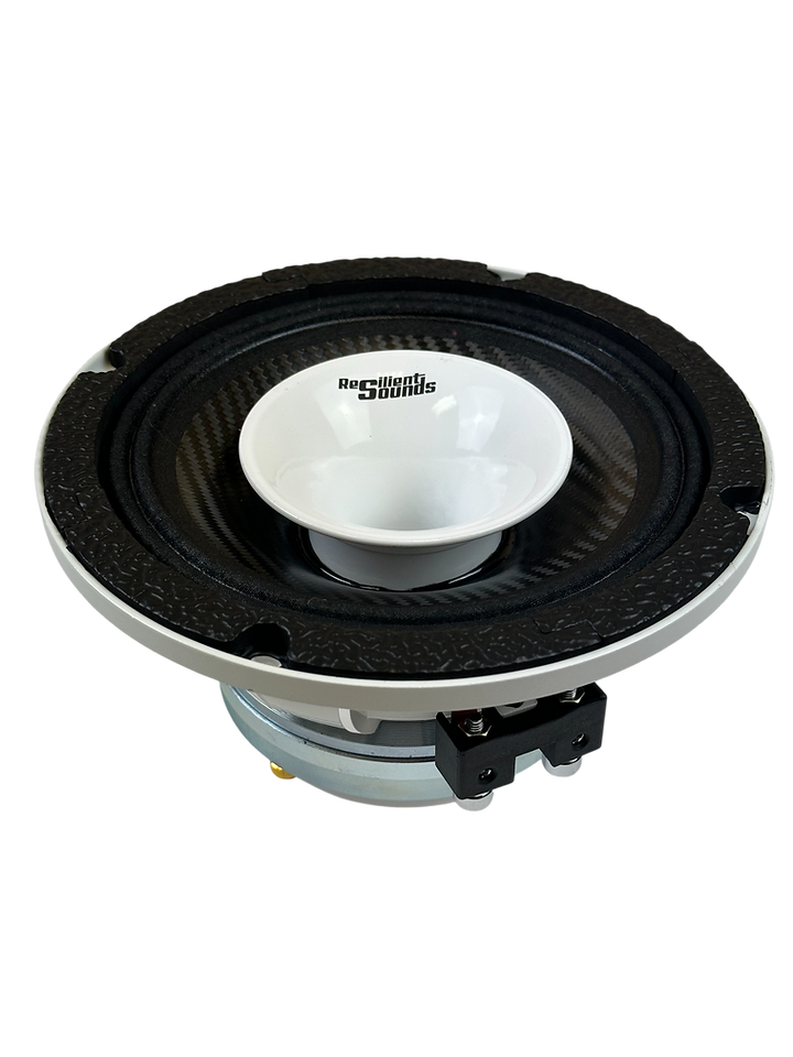 Resilient Sounds CPX6N NEO 6.5" Pro Audio Hybrid Loudspeaker with Horn 400W RMS