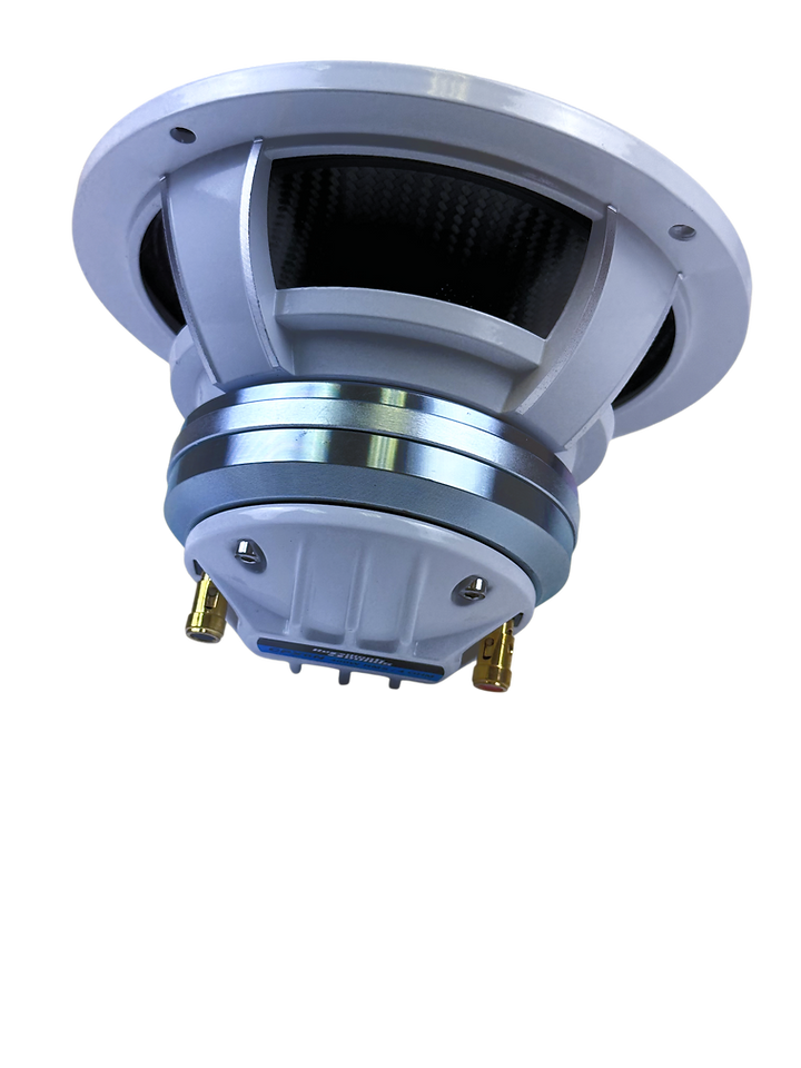 Resilient Sounds CPX6N NEO 6.5" Pro Audio Hybrid Loudspeaker with Horn 400W RMS