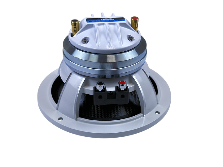 Resilient Sounds CPX6N NEO 6.5" Pro Audio Hybrid Loudspeaker with Horn 400W RMS