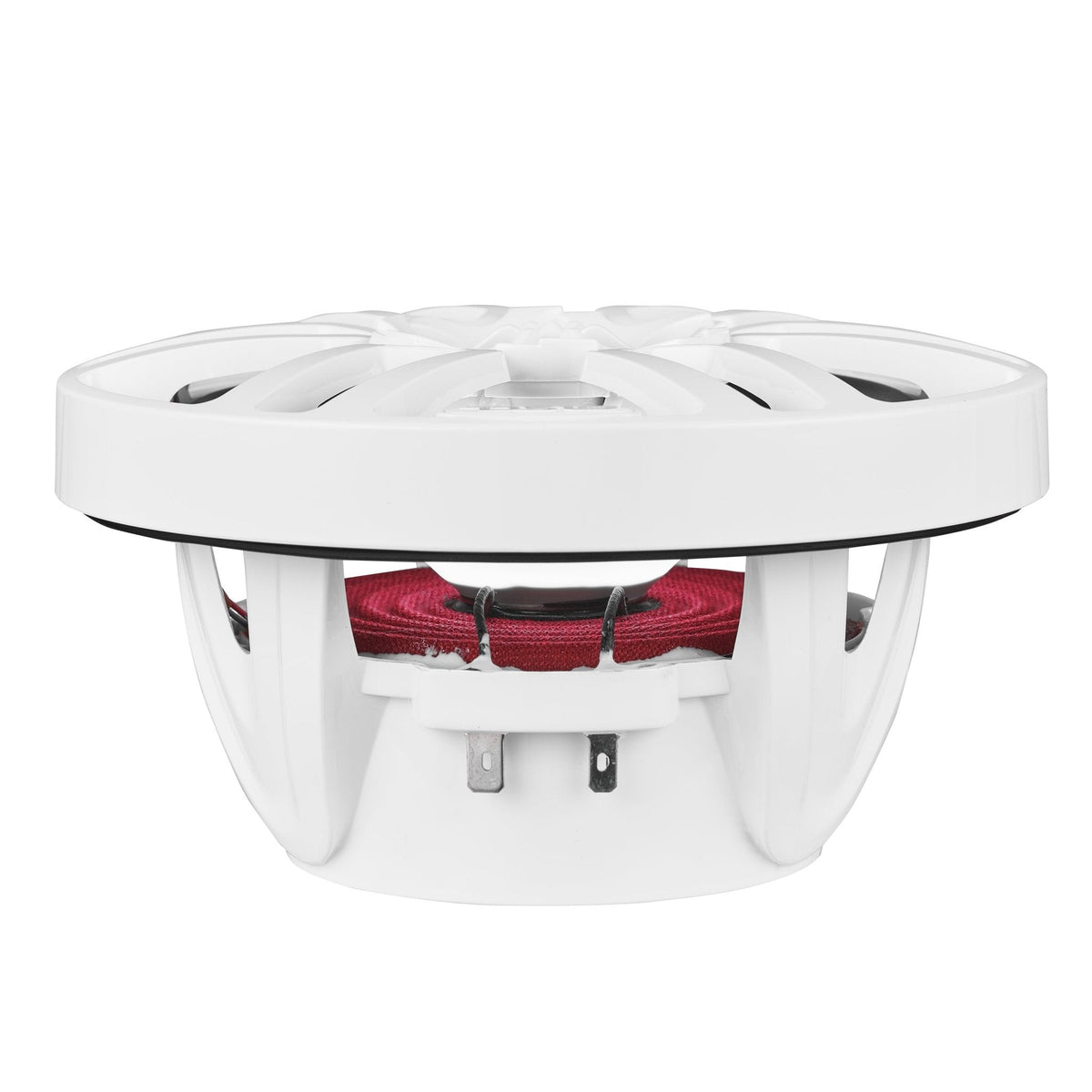 NXL 6.5" 2-Way Coaxial Marine Speaker with LED RGB Lights | 100W RMS 4-Ohm.