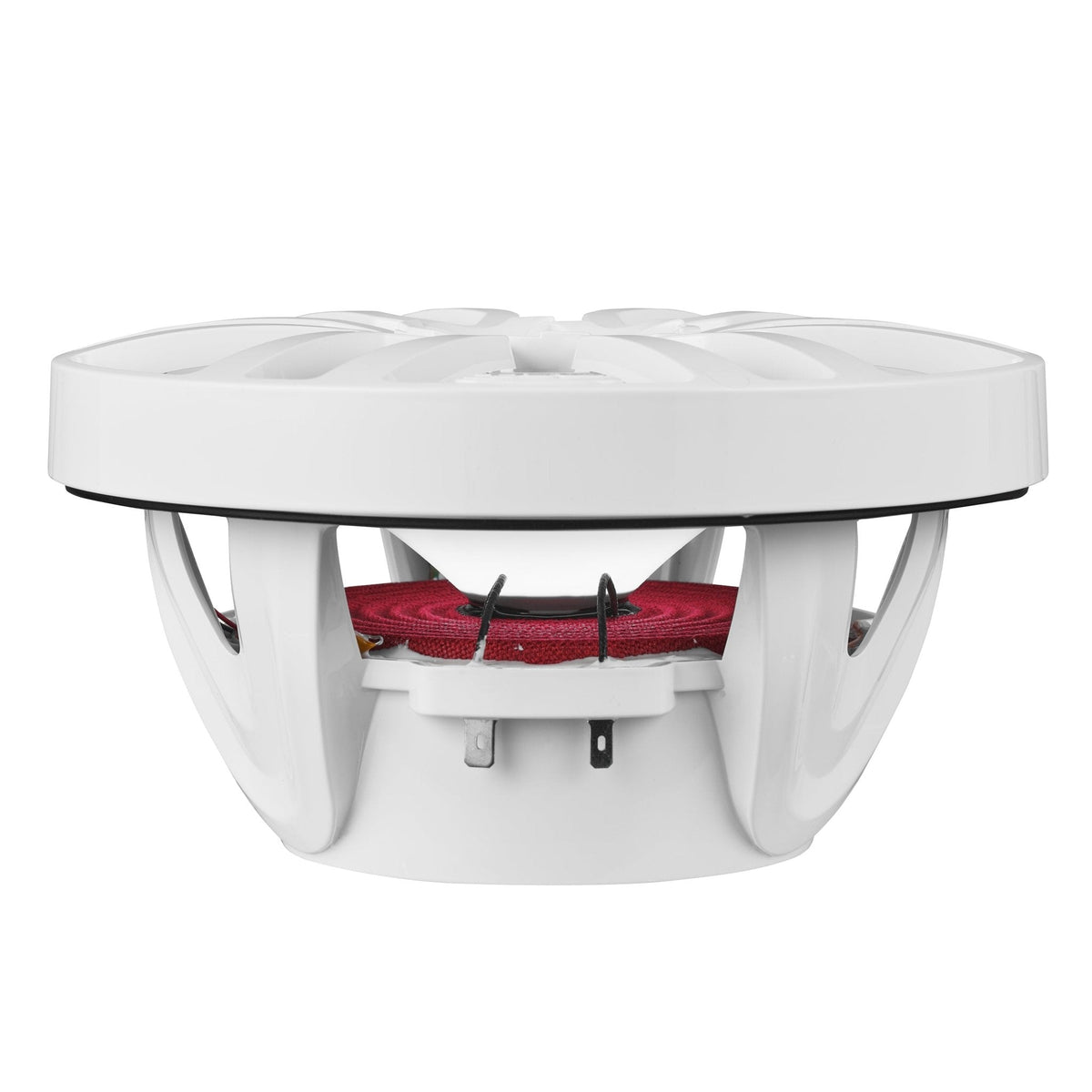 NXL 8" 2-Way Coaxial Marine Speaker with LED RGB Lights | 125W RMS 4-Ohm.