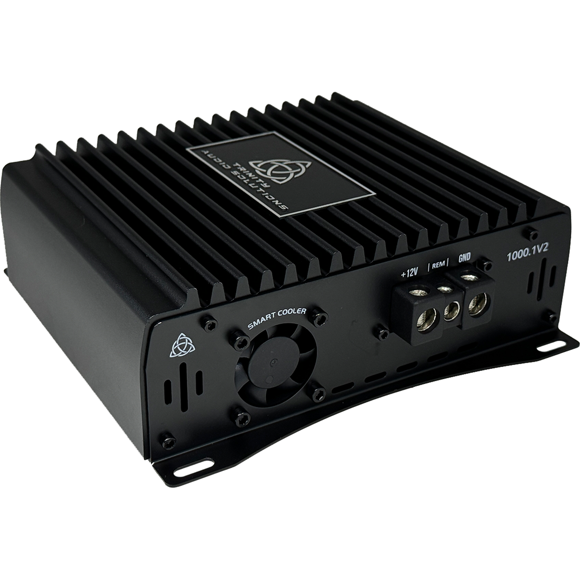 ***NEW*** Trinity Audio Solutions 1000.1v2 1,000 Watt D Class Monoblock Amplifier.