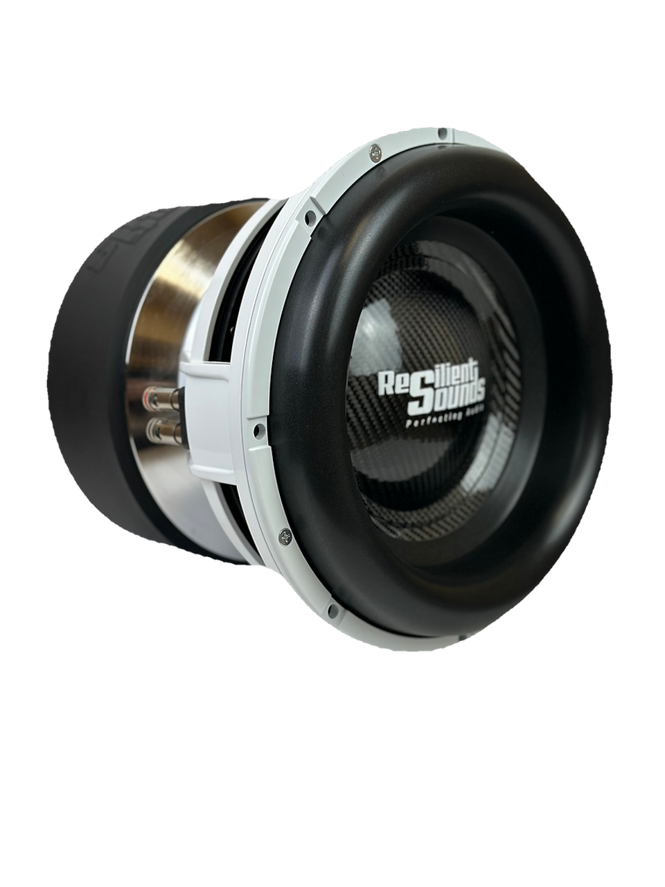 Resilient Sounds Platinum 12 V2 12" Subwoofer – 2500W RMS Dual 1 or Dual 2 Ohm (Single) - Sold by Audio Sellerz