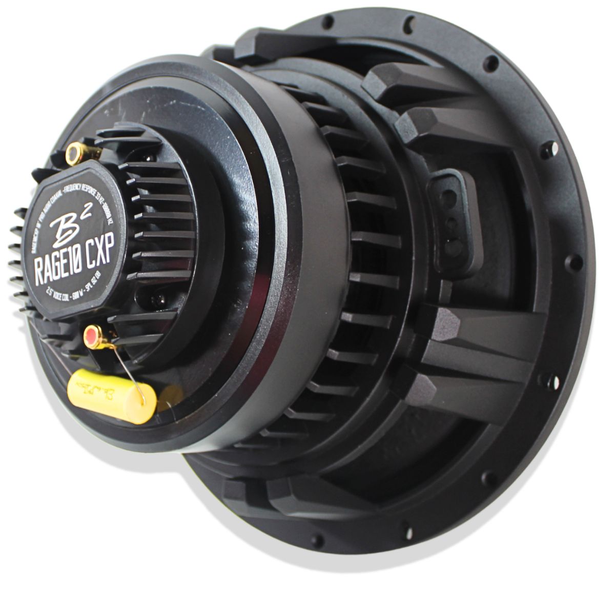 B2 Audio RAGE CXP 10" Hybrid Coaxial Speakers 4-Ohm 300 Watt RMS Pair.